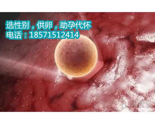 重庆哪里有代生生儿子,【供卵的血型不一样有影响】卵泡监测19天需不需要打破
