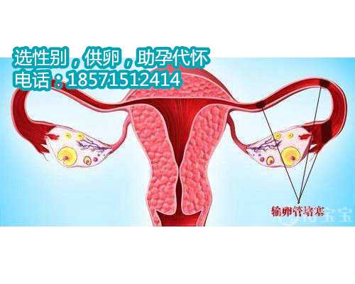重庆哪里有捐卵联系电话,人工受精和试管婴儿的3点区别