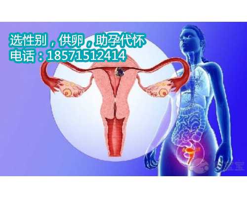 重庆哪里助孕机构,秦皇岛人工授精医院：想要怀孕你要符合这些条件！