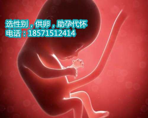 重庆哪做供卵试管好,上海瑞金医院能做试管婴儿怎么样