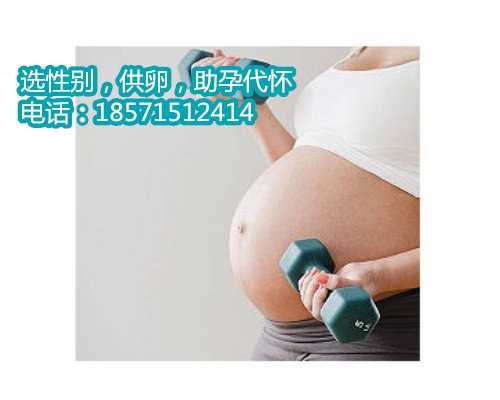 重庆哪里有代怀妈妈,试管婴儿的成功率多大