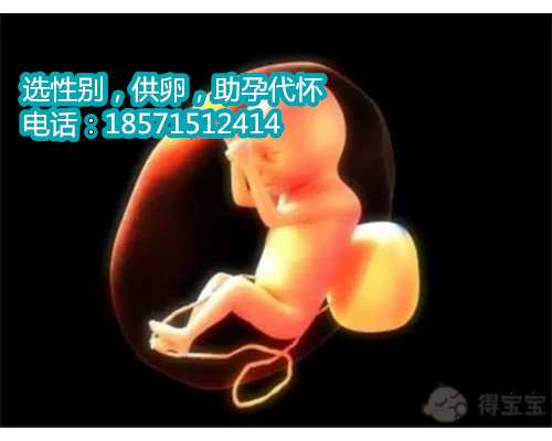 重庆哪里做供卵试管婴儿,高龄二胎备孕成功经验