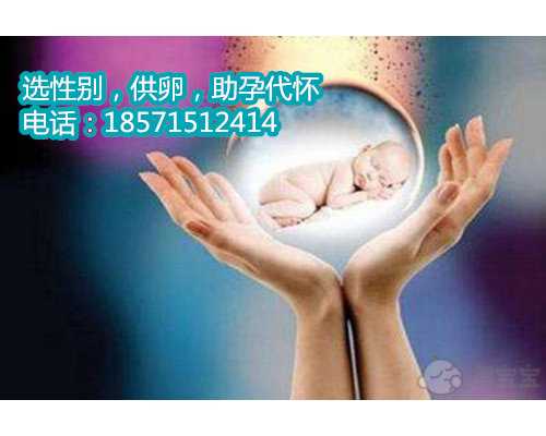 重庆哪家医院能借卵子,借助试管生出的宝宝会不会和自然怀孕的宝宝有所不同