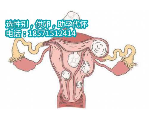 重庆哪家医院供卵泡,国内有可以选男女的试管婴儿医院吗