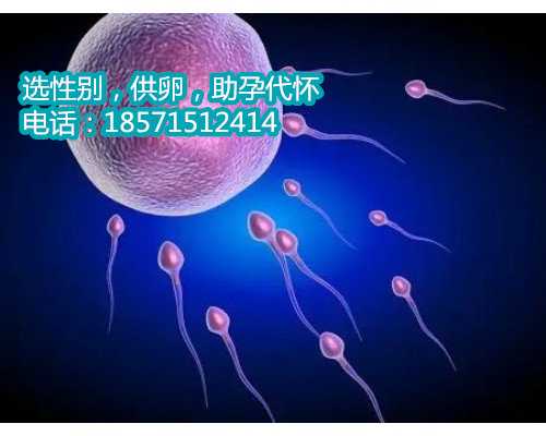 重庆哪家医院可以供卵,四维彩超看宝宝下巴能看出怀的是男的还是女的吗