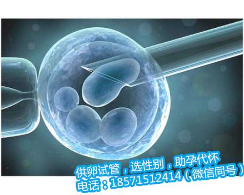 重庆哪家医院供卵较快,美国生殖医学学会“关于不孕症的概述”