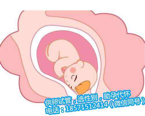 重庆哪家做试管代怀好,什么情况下会导致试管婴儿促排卵失败