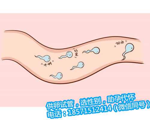 重庆代怀公司正规吗,平谷试管婴儿移植后几天可以验孕